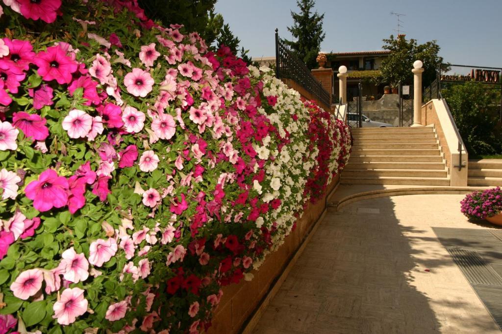 Residence Tortorella Tortoreto Dış mekan fotoğraf